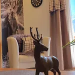 Wolf - Zentral In Mit Panorama-alpenblick Und Ruhiger Lage * Pfronten