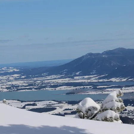 Lägenhet Wolf - Zentral In Mit Panorama-alpenblick Und Ruhiger Lage Pfronten