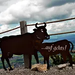 Wolf - Zentral In Mit Panorama-alpenblick Und Ruhiger Lage