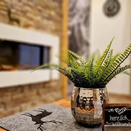 Appartement Wolf - Mitte, *