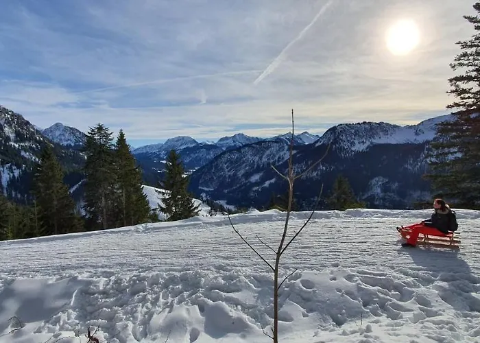 Wolf - Zentral In Mit Panorama-alpenblick Und Ruhiger Lage Pfronten
